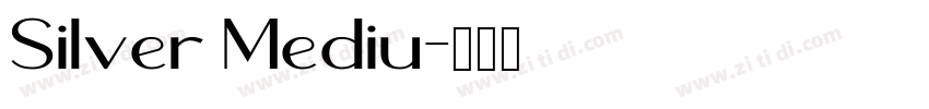 Silver Mediu字体转换